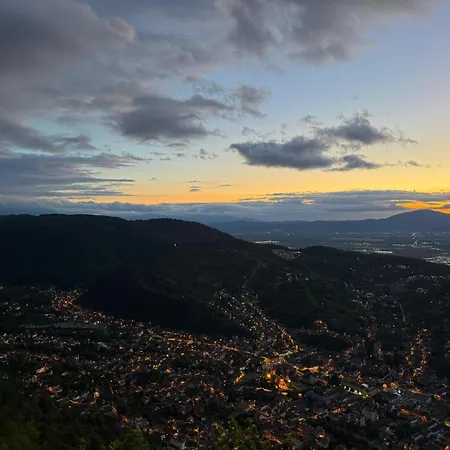 Cozy Tampa - Ultracentral *