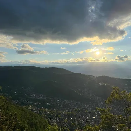 דירה Cozy Tampa - Ultracentral *